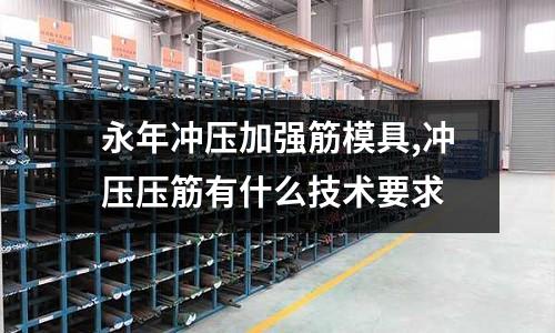 永年沖壓加強筋模具,沖壓壓筋有什么技術要求