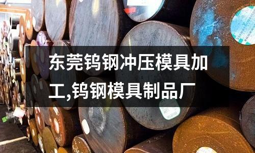 東莞鎢鋼沖壓模具加工,鎢鋼模具制品廠