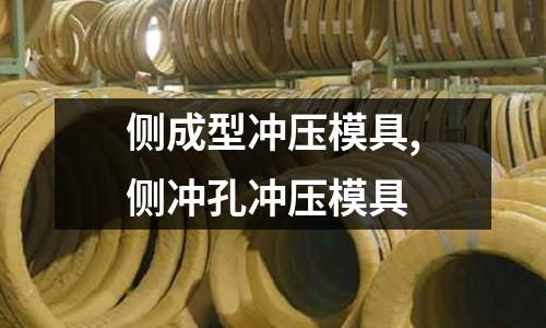 側(cè)成型沖壓模具,側(cè)沖孔沖壓模具