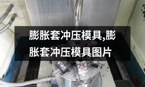 膨脹套沖壓模具,膨脹套沖壓模具圖片