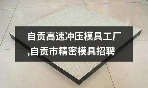 自貢高速沖壓模具工廠,自貢市精密模具招聘