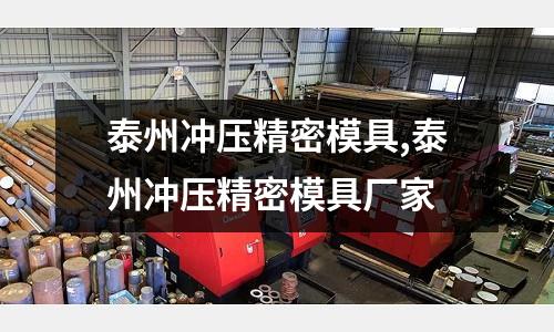 泰州沖壓精密模具,泰州沖壓精密模具廠家