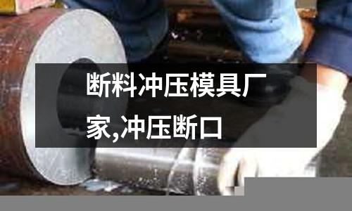 斷料沖壓模具廠家,沖壓斷口