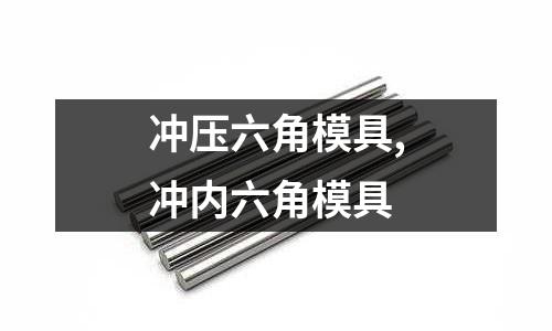 沖壓六角模具,沖內(nèi)六角模具