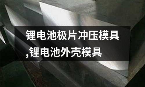 鋰電池極片沖壓模具,鋰電池外殼模具