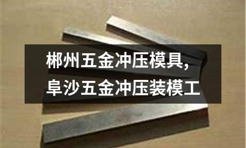 郴州五金沖壓模具,阜沙五金沖壓裝模工