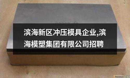 濱海新區(qū)沖壓模具企業(yè),濱海模塑集團有限公司招聘