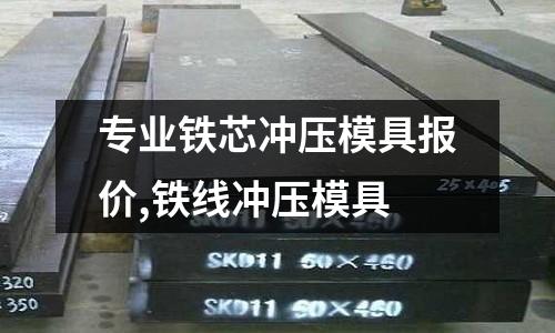 專業(yè)鐵芯沖壓模具報價,鐵線沖壓模具