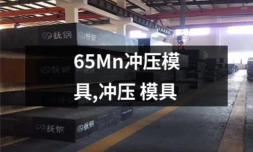 65Mn沖壓模具,沖壓 模具