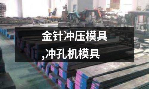 金針沖壓模具,沖孔機模具