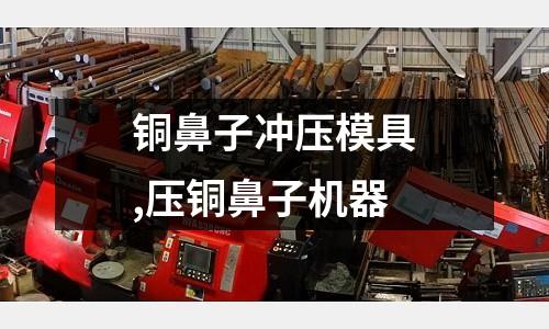 銅鼻子沖壓模具,壓銅鼻子機(jī)器