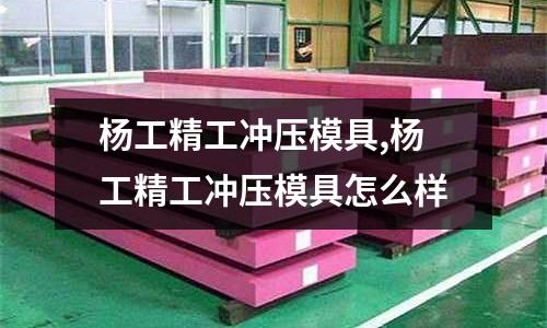 楊工精工沖壓模具,楊工精工沖壓模具怎么樣