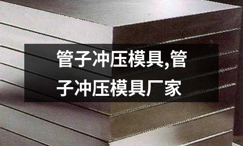 管子沖壓模具,管子沖壓模具廠家