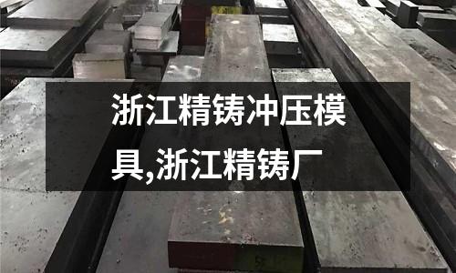 浙江精鑄沖壓模具,浙江精鑄廠