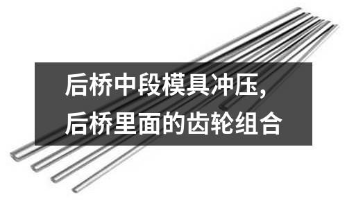 后橋中段模具沖壓,后橋里面的齒輪組合