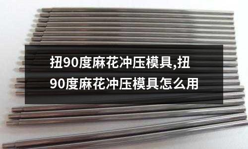 扭90度麻花沖壓模具,扭90度麻花沖壓模具怎么用