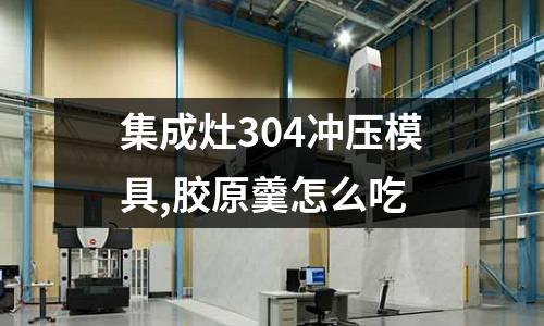 集成灶304沖壓模具,膠原羹怎么吃