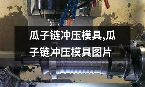 瓜子鏈沖壓模具,瓜子鏈沖壓模具圖片