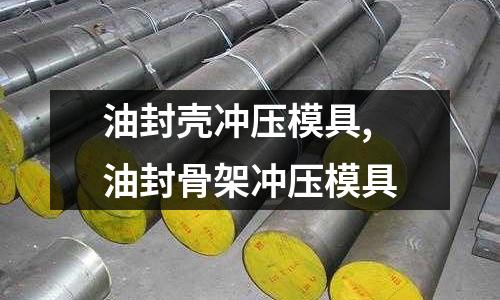 油封殼沖壓模具,油封骨架沖壓模具