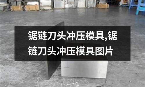 鋸鏈刀頭沖壓模具,鋸鏈刀頭沖壓模具圖片