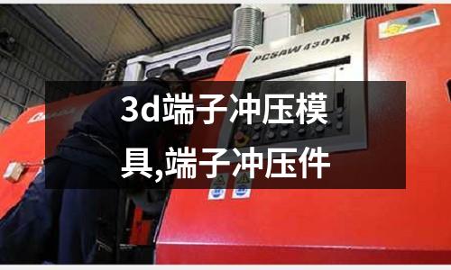 3d端子沖壓模具,端子沖壓件