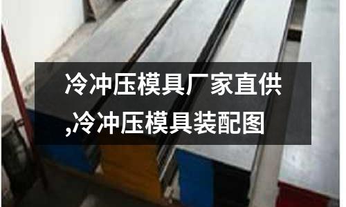 冷沖壓模具廠家直供,冷沖壓模具裝配圖