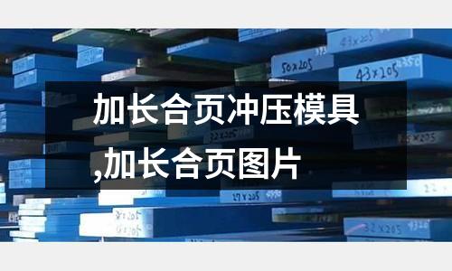 加長合頁沖壓模具,加長合頁圖片