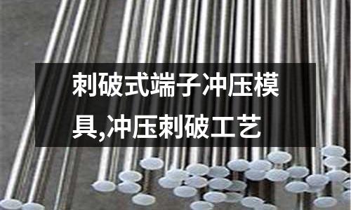 刺破式端子沖壓模具,沖壓刺破工藝