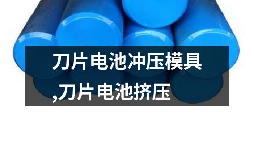 刀片電池沖壓模具,刀片電池?cái)D壓