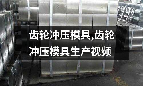 齒輪沖壓模具,齒輪沖壓模具生產(chǎn)視頻