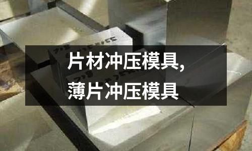 片材沖壓模具,薄片沖壓模具