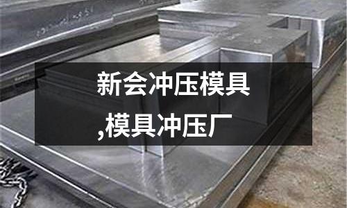 新會沖壓模具,模具沖壓廠