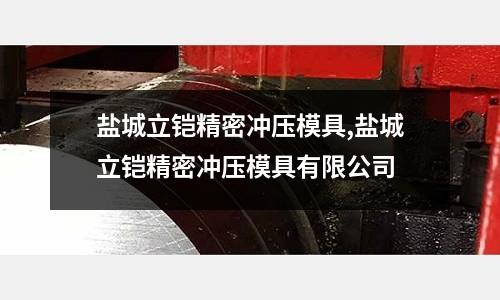 鹽城立鎧精密沖壓模具,鹽城立鎧精密沖壓模具有限公司