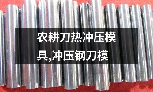 農(nóng)耕刀熱沖壓模具,沖壓鋼刀模