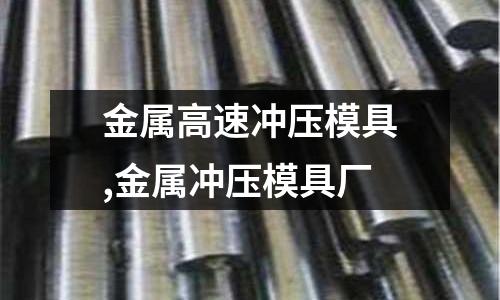 金屬高速?zèng)_壓模具,金屬?zèng)_壓模具廠