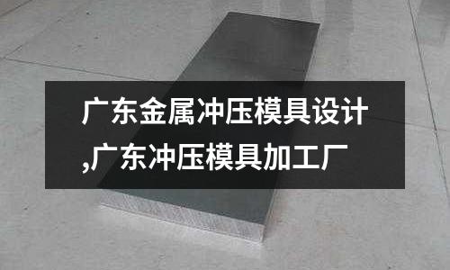 廣東金屬?zèng)_壓模具設(shè)計(jì),廣東沖壓模具加工廠