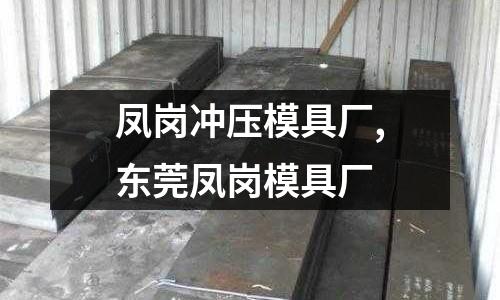 鳳崗沖壓模具廠,東莞鳳崗模具廠