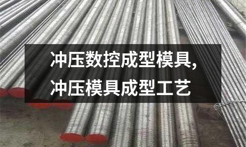 沖壓數(shù)控成型模具,沖壓模具成型工藝