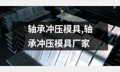 軸承沖壓模具,軸承沖壓模具廠家