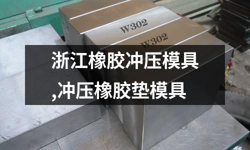 浙江橡膠沖壓模具,沖壓橡膠墊模具