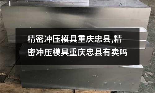 精密沖壓模具重慶忠縣,精密沖壓模具重慶忠縣有賣嗎