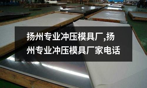 揚州專業(yè)沖壓模具廠,揚州專業(yè)沖壓模具廠家電話