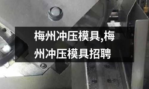 梅州沖壓模具,梅州沖壓模具招聘