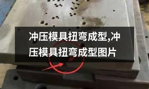 沖壓模具扭彎成型,沖壓模具扭彎成型圖片