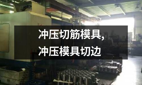 沖壓切筋模具,沖壓模具切邊