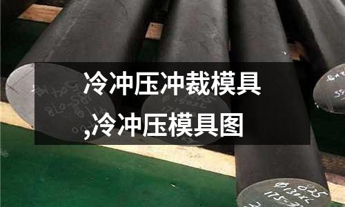 冷沖壓沖裁模具,冷沖壓模具圖