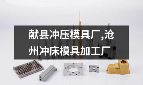 獻(xiàn)縣沖壓模具廠,滄州沖床模具加工廠