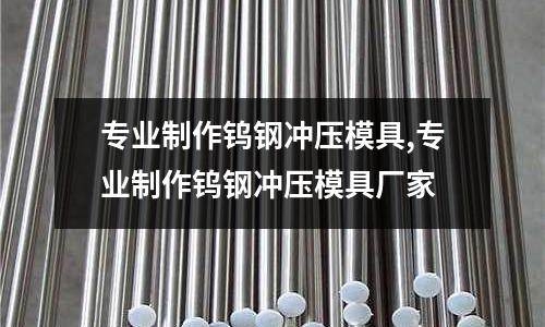 專業(yè)制作鎢鋼沖壓模具,專業(yè)制作鎢鋼沖壓模具廠家