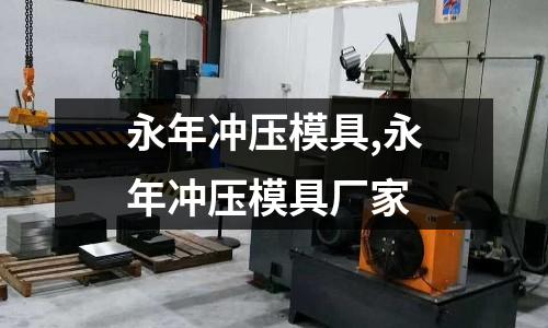 永年沖壓模具,永年沖壓模具廠家