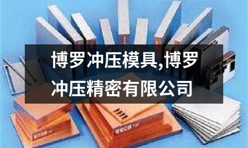 博羅沖壓模具,博羅沖壓精密有限公司